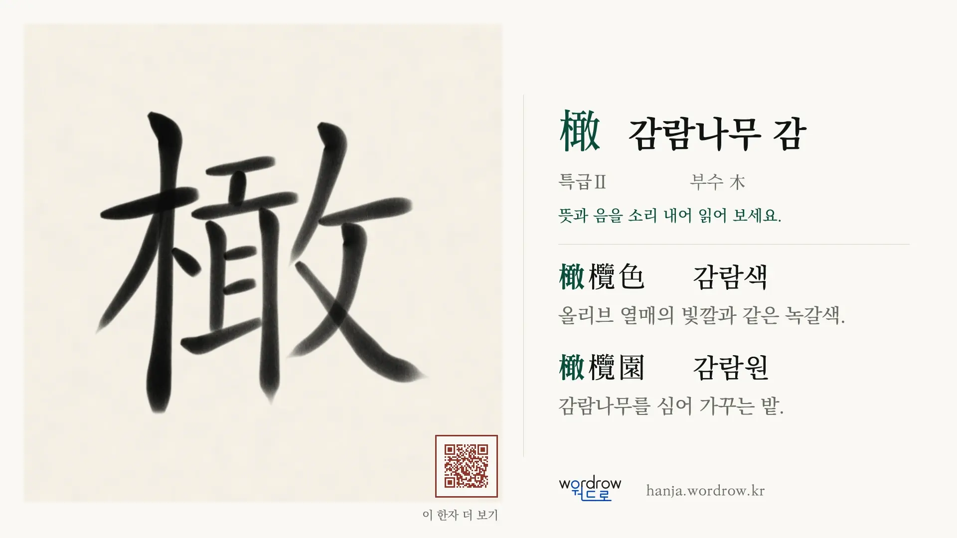 橄 감람나무 감 붓글씨 영상 미리보기