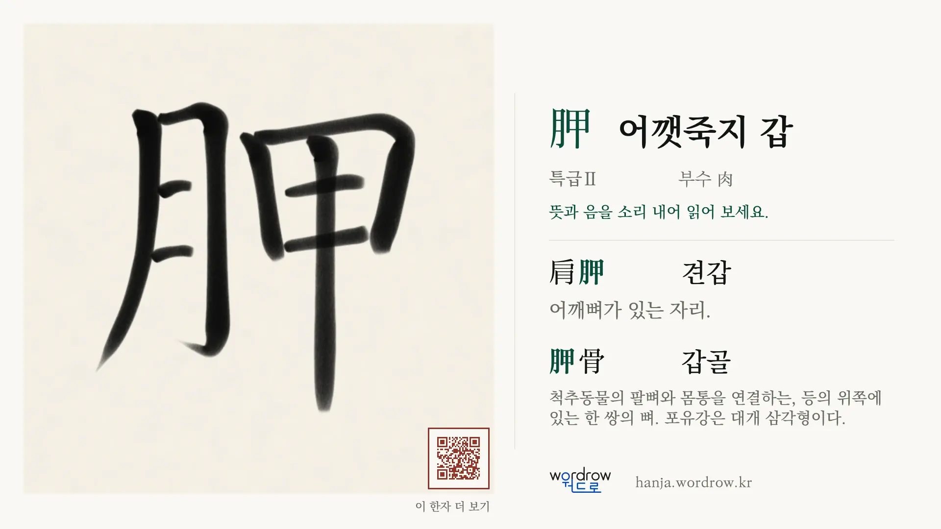 胛 어깻죽지 갑 붓글씨 영상 미리보기