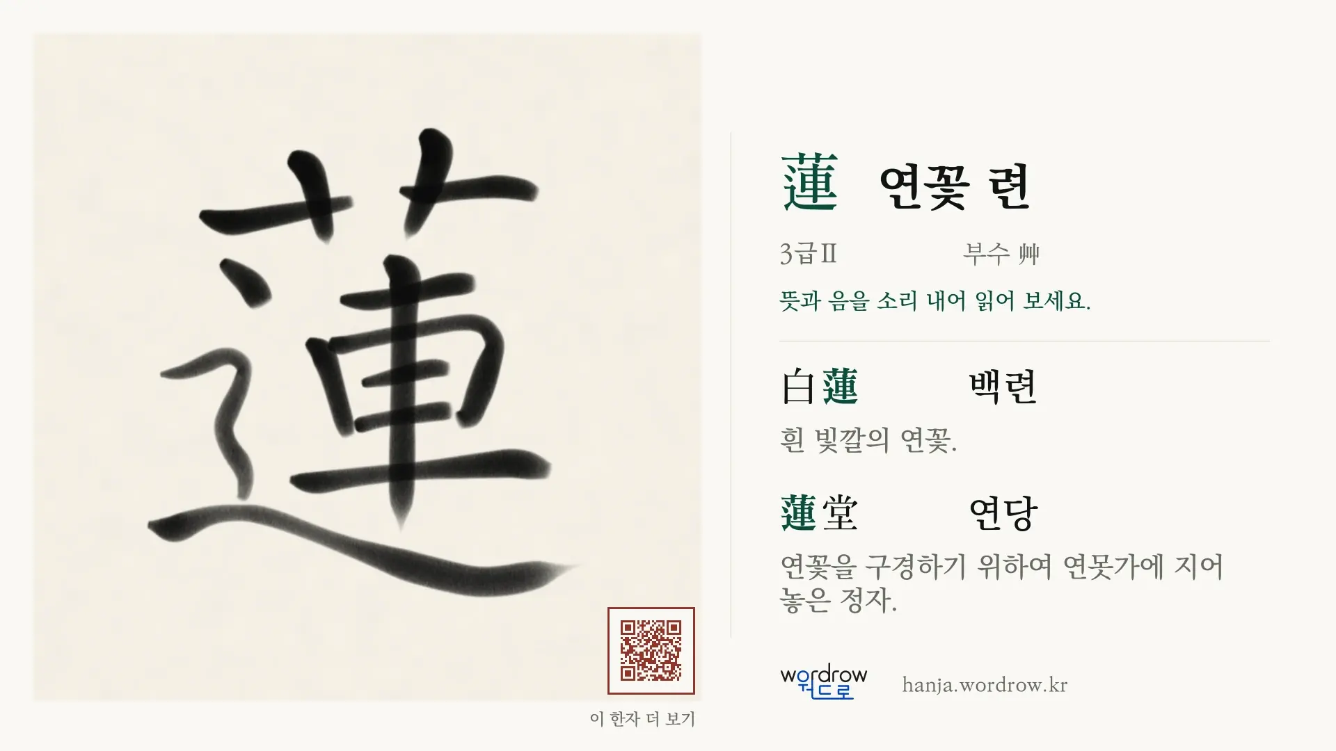 蓮 연꽃 련 붓글씨 영상 미리보기