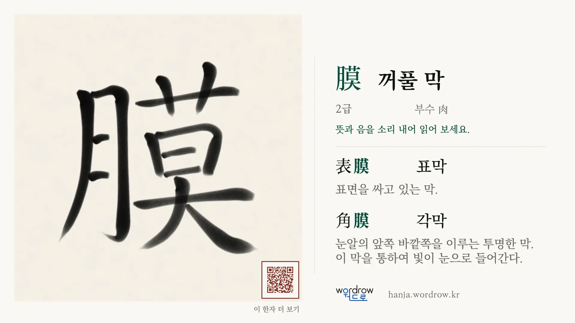 膜 꺼풀 막 붓글씨 영상 미리보기