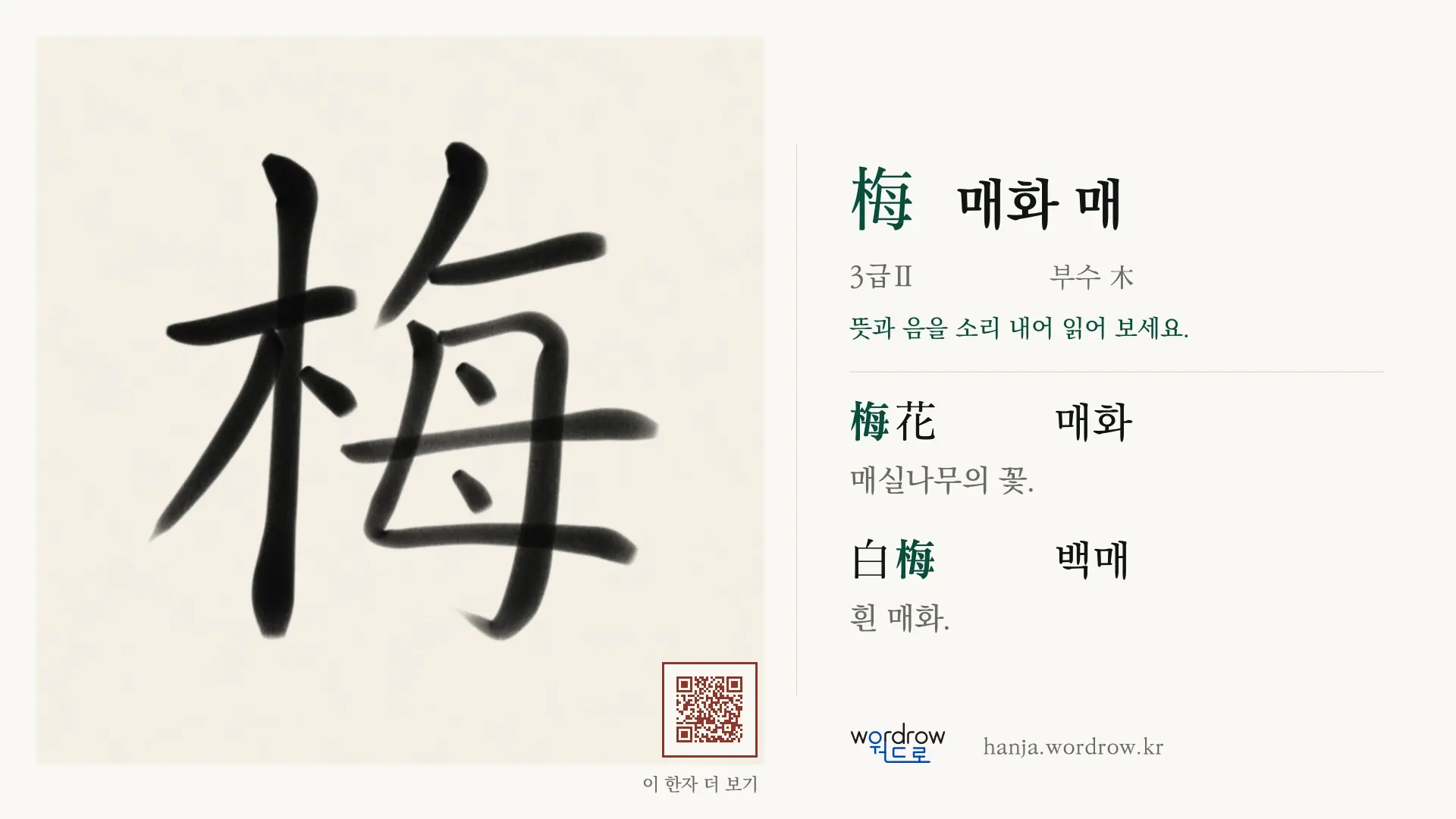 梅 매화 매 붓글씨 영상 미리보기
