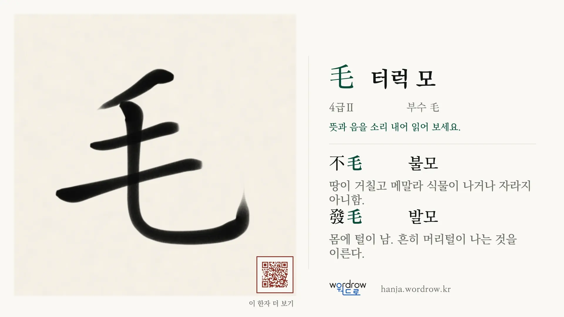 毛 터럭 모 붓글씨 영상 미리보기