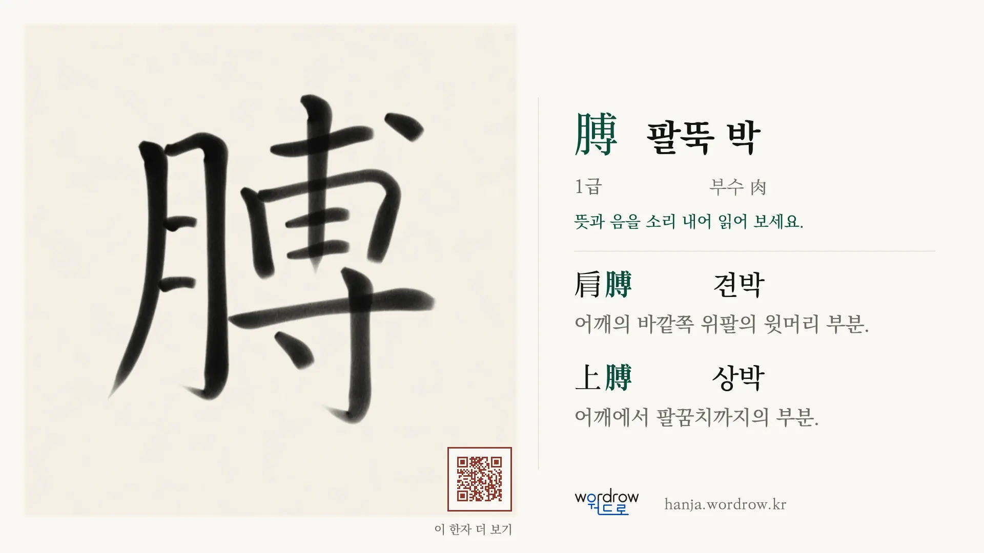 膊 팔뚝 박 붓글씨 영상 미리보기