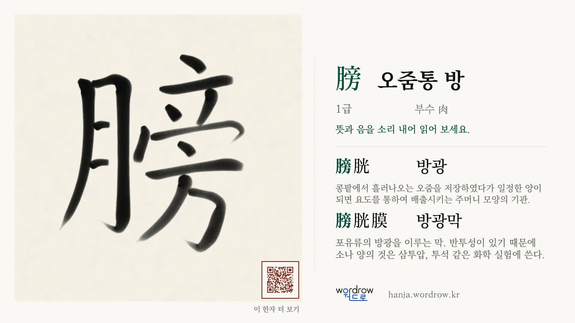 膀 오줌통 방 붓글씨 영상 미리보기