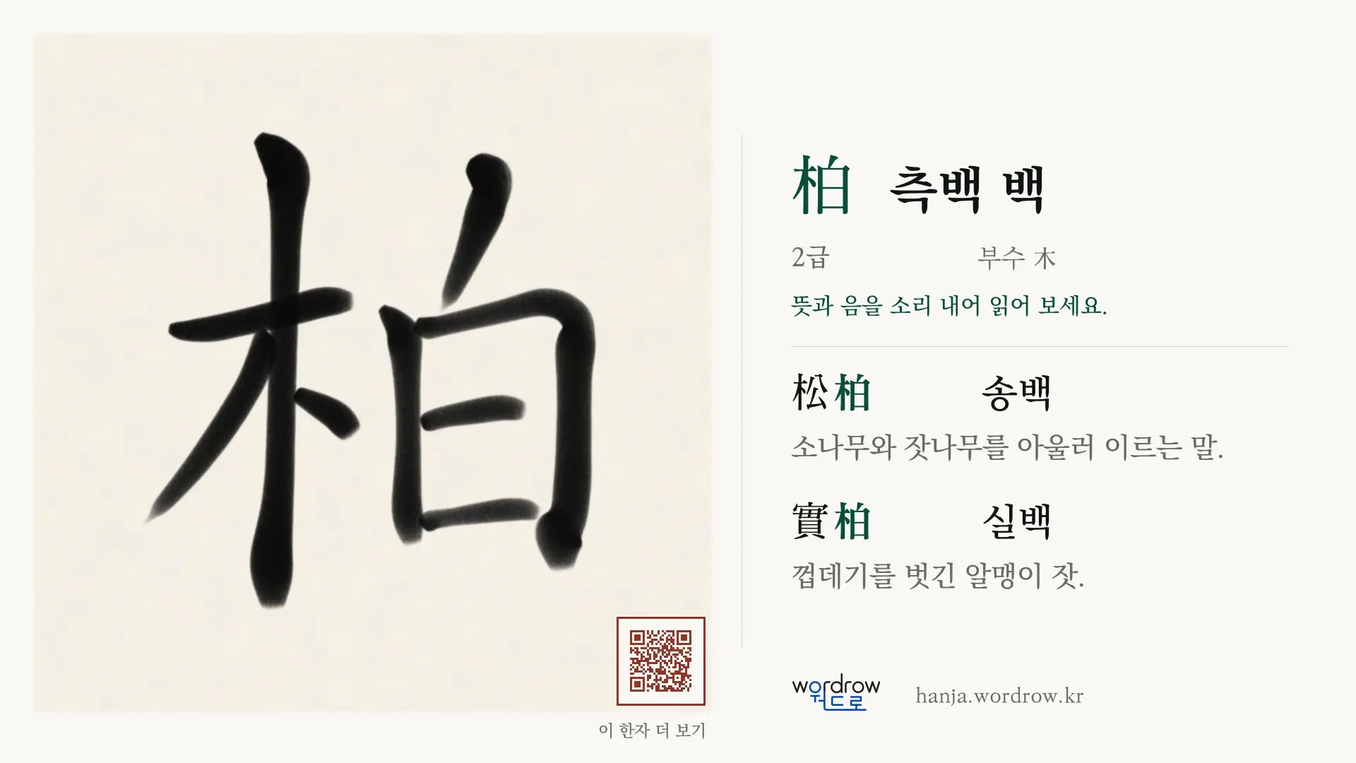 柏 측백 백 붓글씨 영상 미리보기