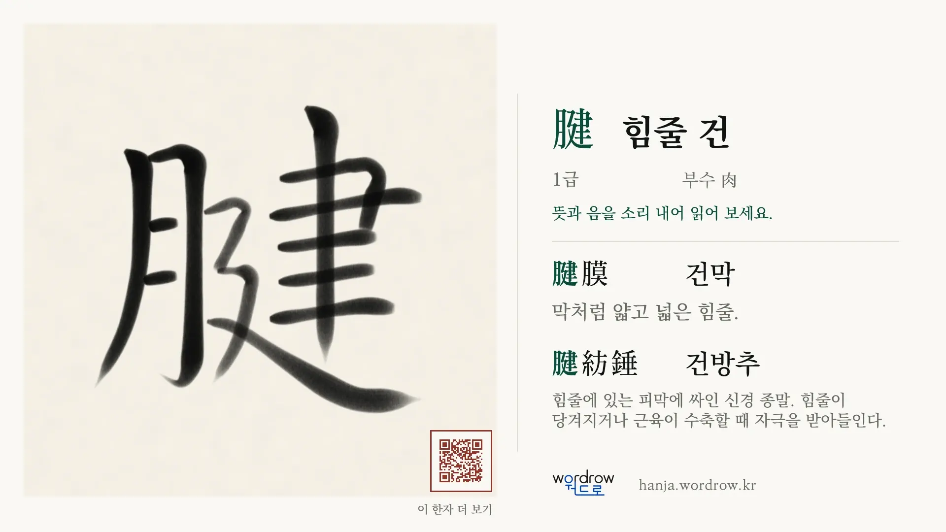 腱 힘줄 건 붓글씨 영상 미리보기