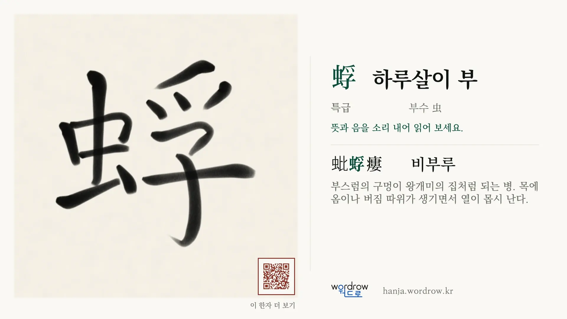 蜉 하루살이 부 붓글씨 영상 미리보기