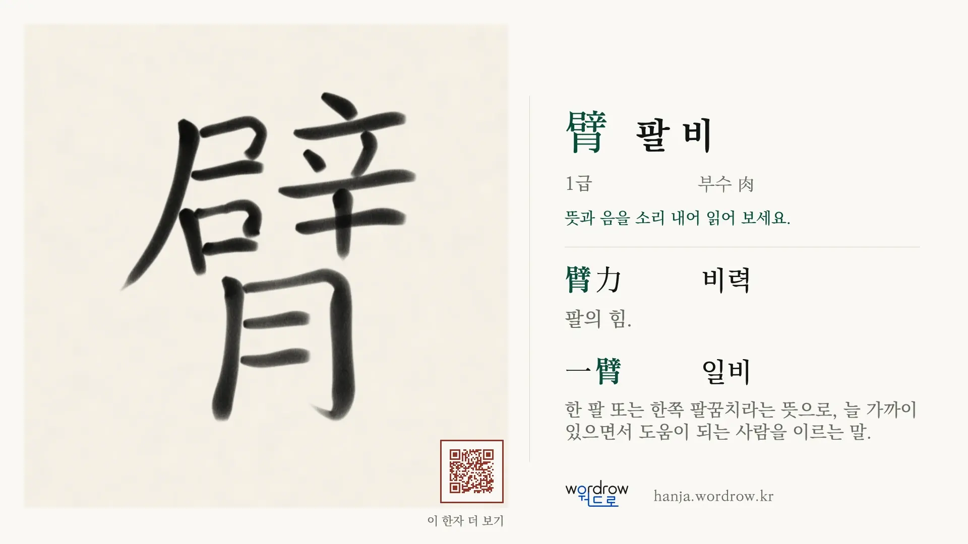 臂 팔 비 붓글씨 영상 미리보기
