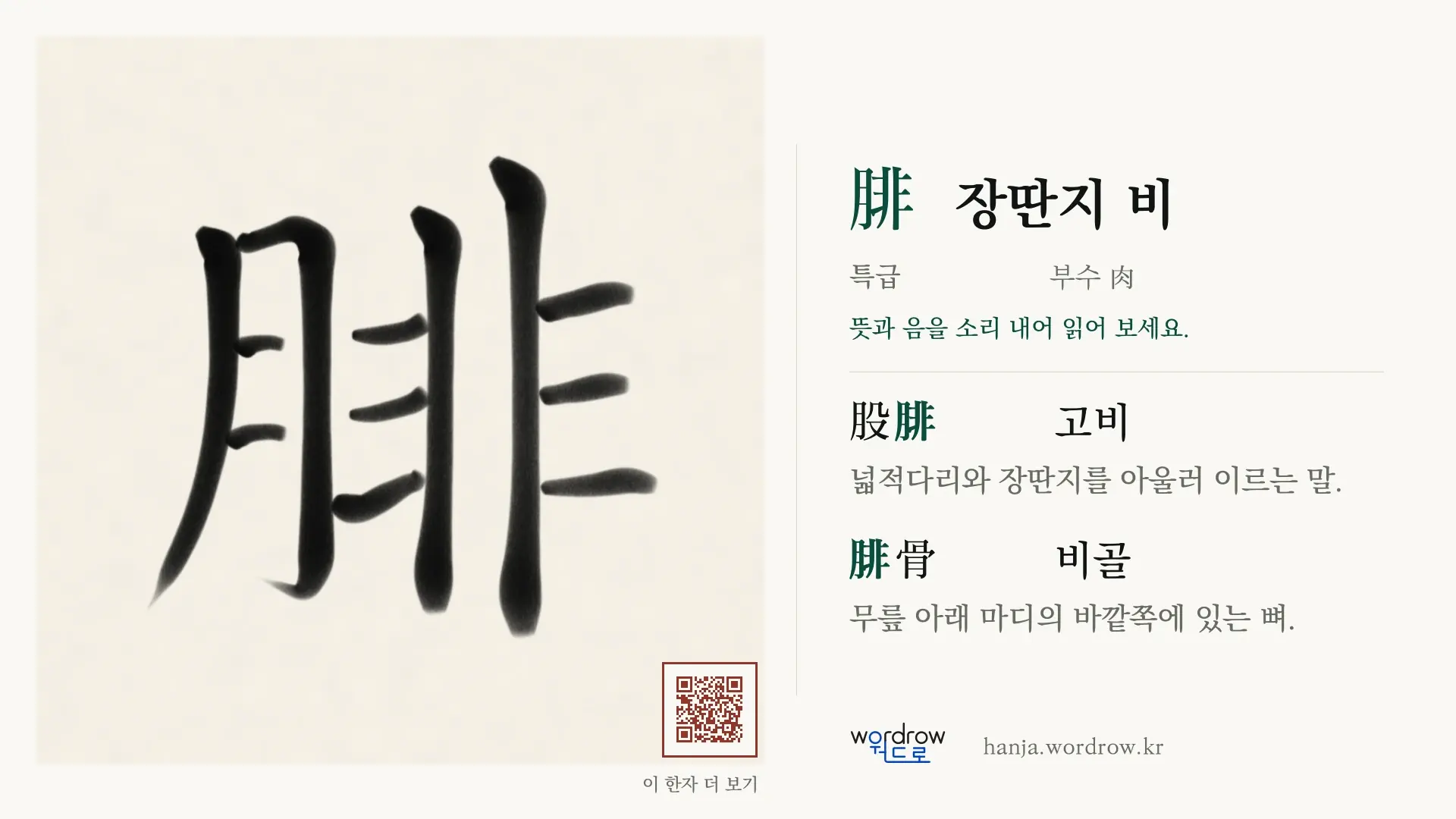 腓 장딴지 비 붓글씨 영상 미리보기