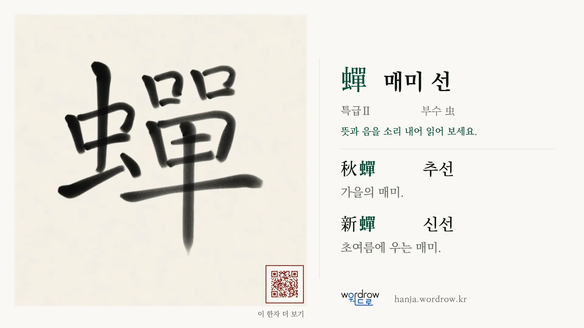 蟬 매미 선 붓글씨 영상 미리보기