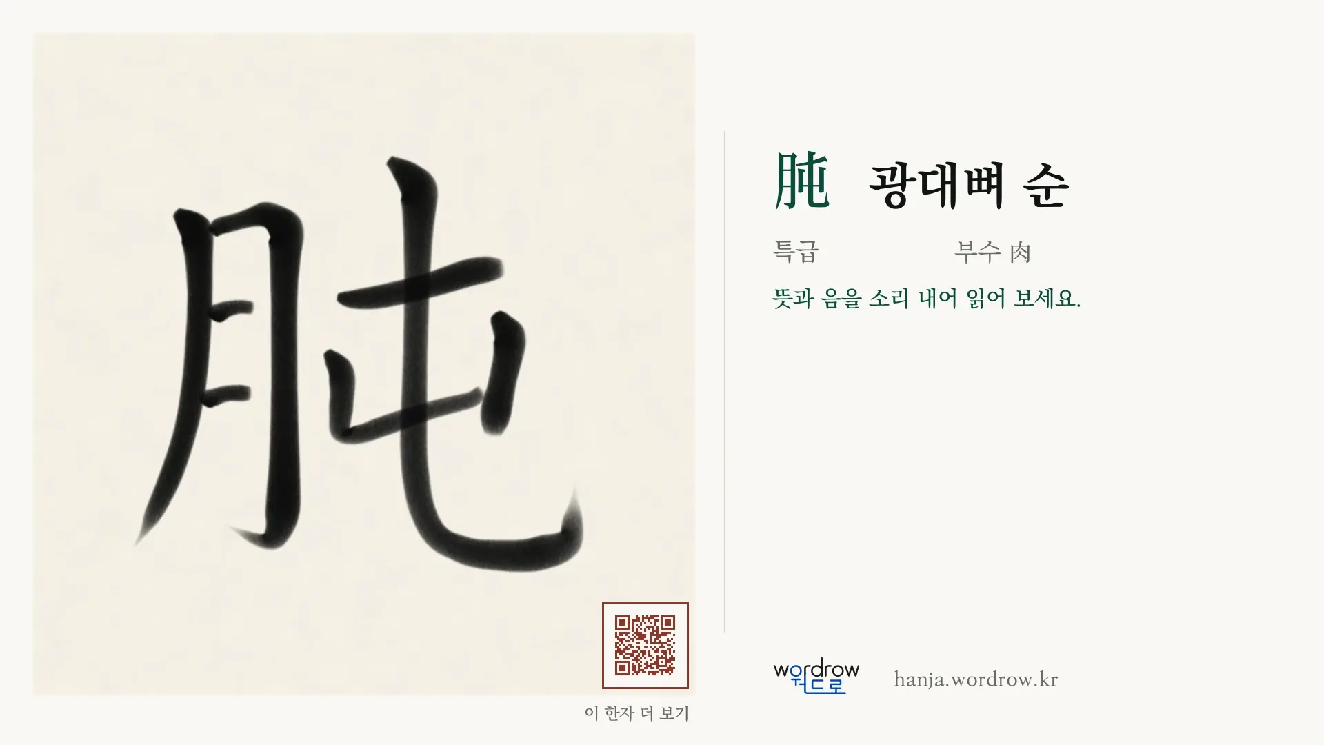 肫 광대뼈 순 붓글씨 영상 미리보기