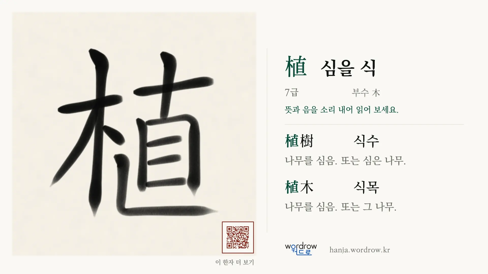 植 심을 식 붓글씨 영상 미리보기