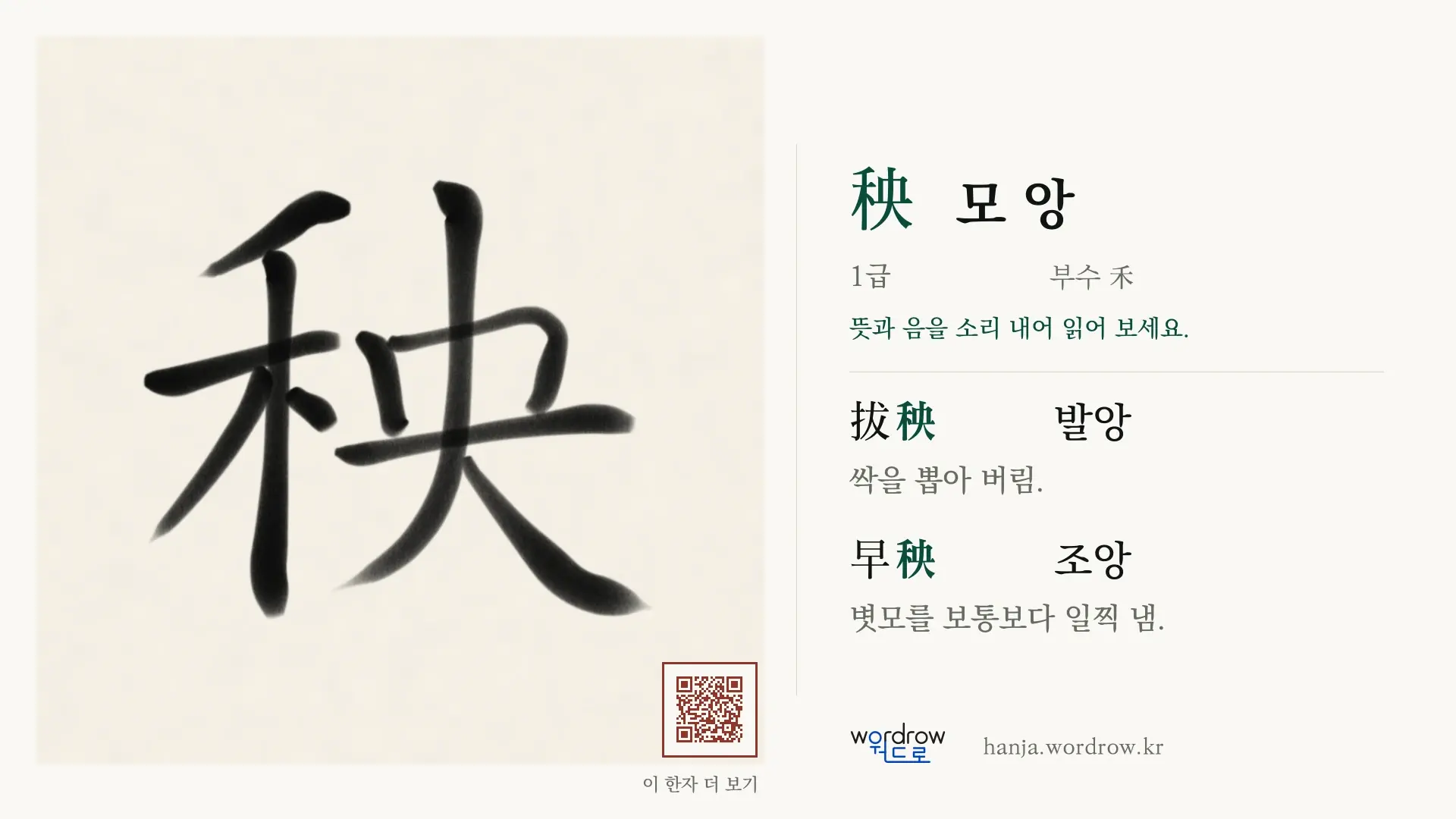 秧 모 앙 붓글씨 영상 미리보기