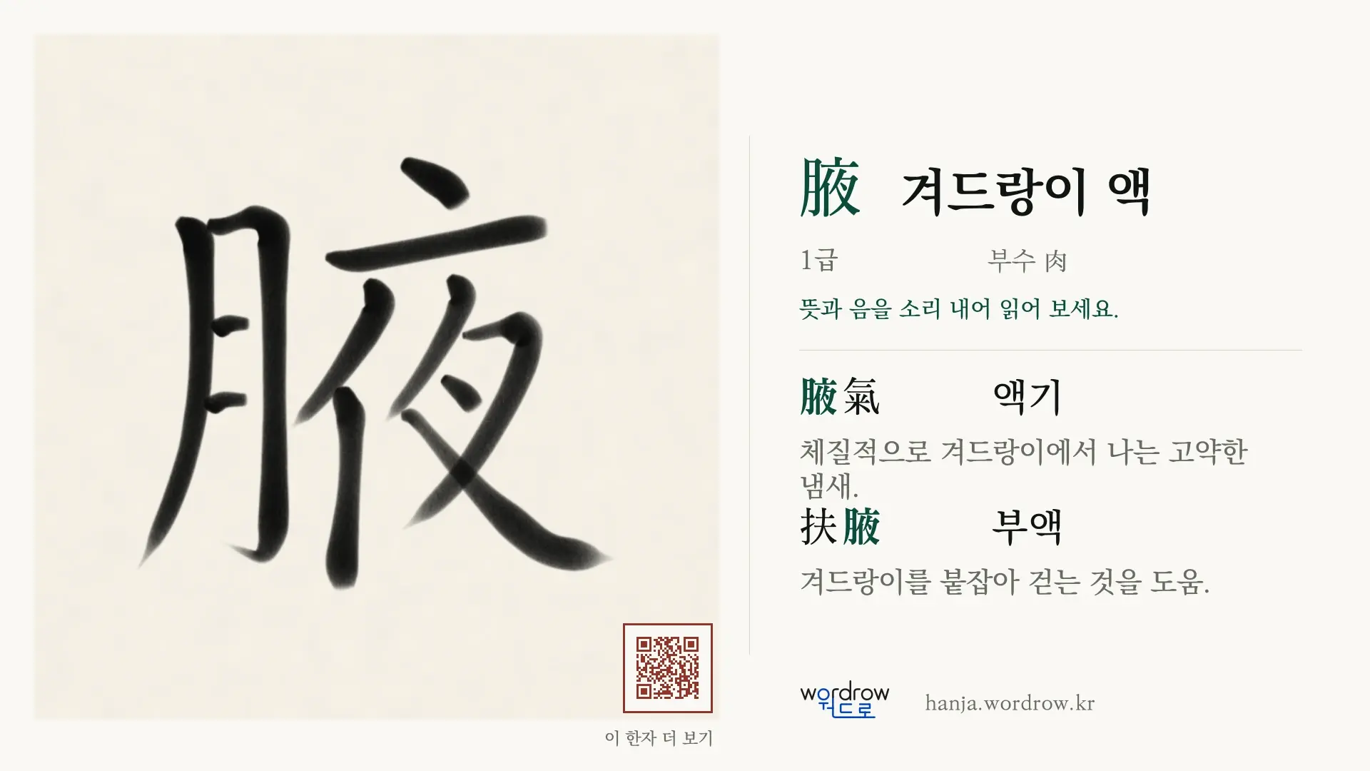 腋 겨드랑이 액 붓글씨 영상 미리보기