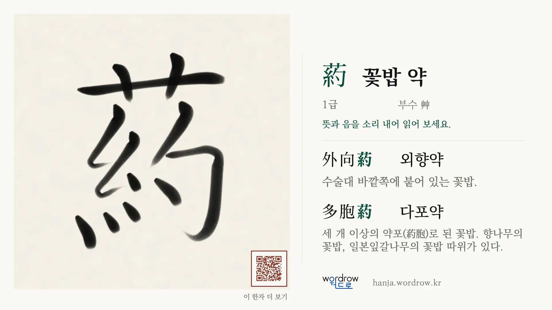 葯 꽃밥 약 붓글씨 영상 미리보기