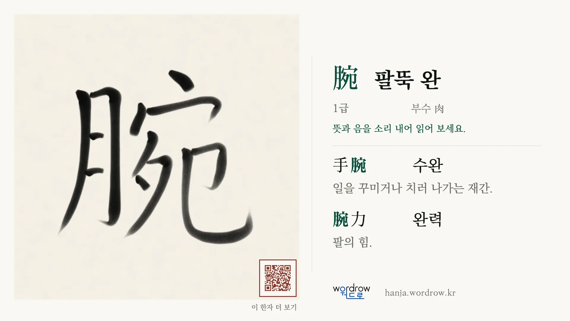 腕 팔뚝 완 붓글씨 영상 미리보기