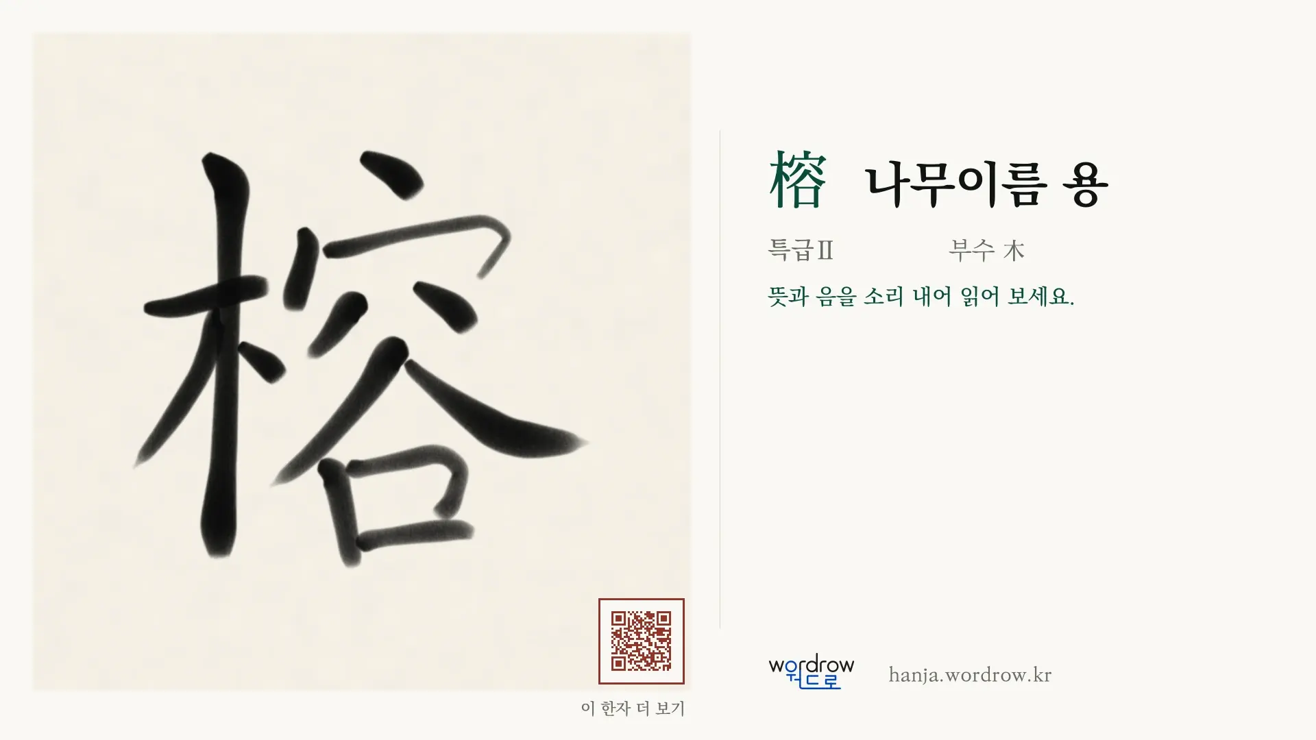 榕 나무이름 용 붓글씨 영상 미리보기