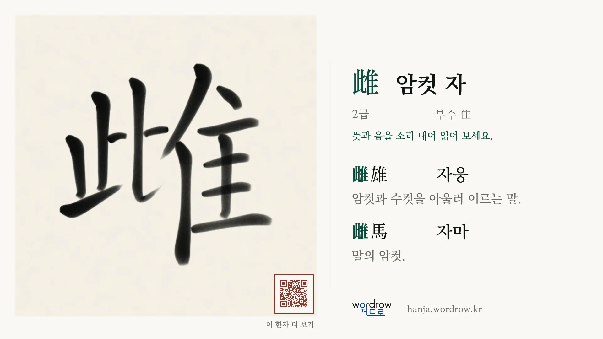 雌 암컷 자 붓글씨 영상 미리보기