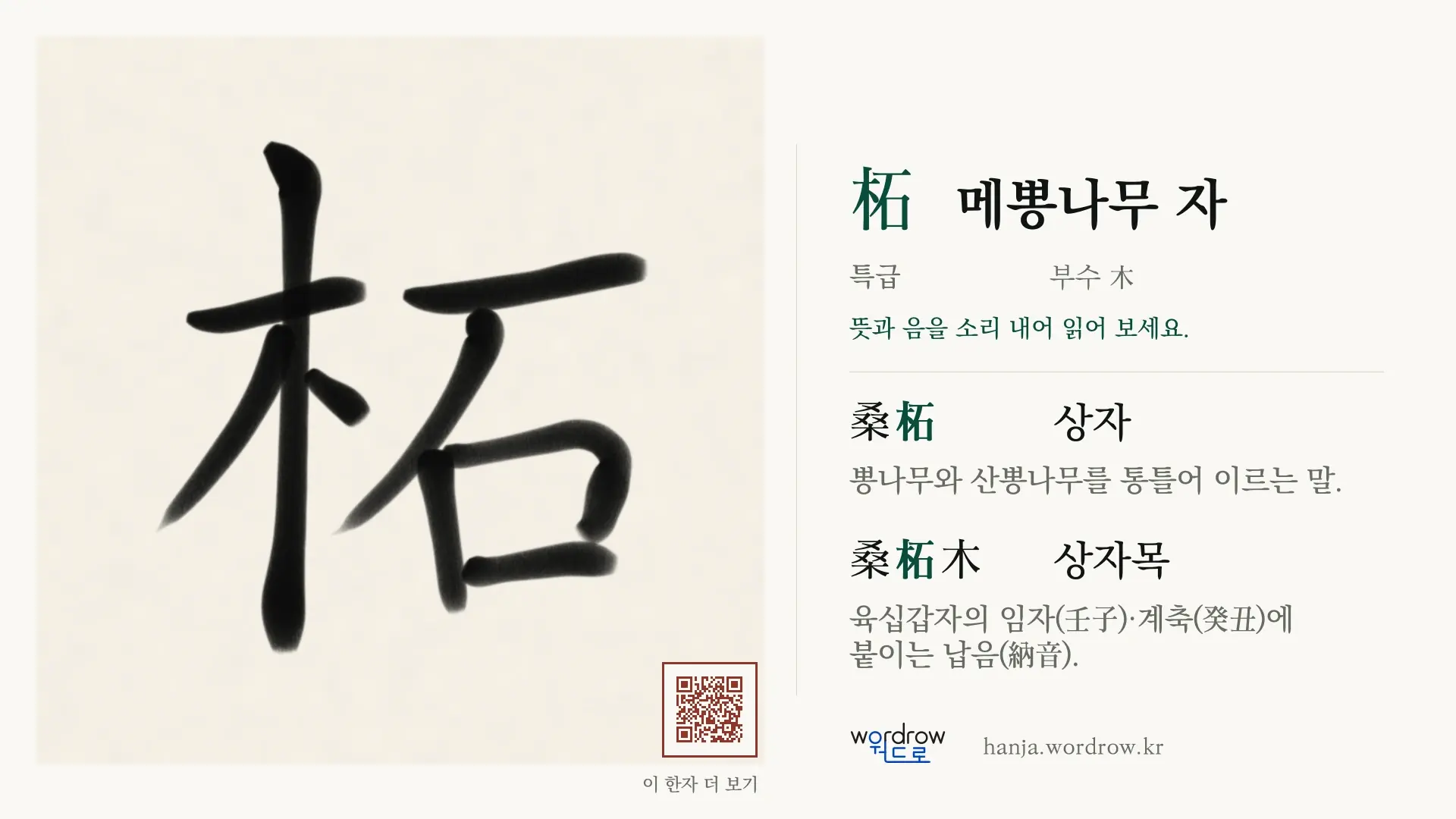 柘 메뽕나무 자 붓글씨 영상 미리보기