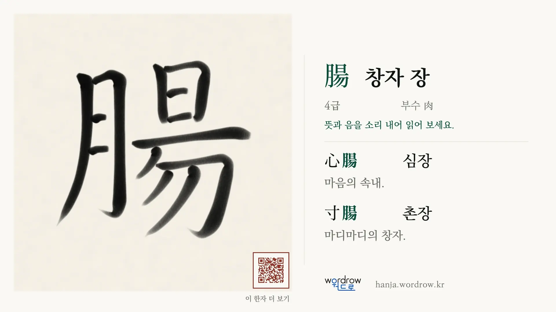 腸 창자 장 붓글씨 영상 미리보기