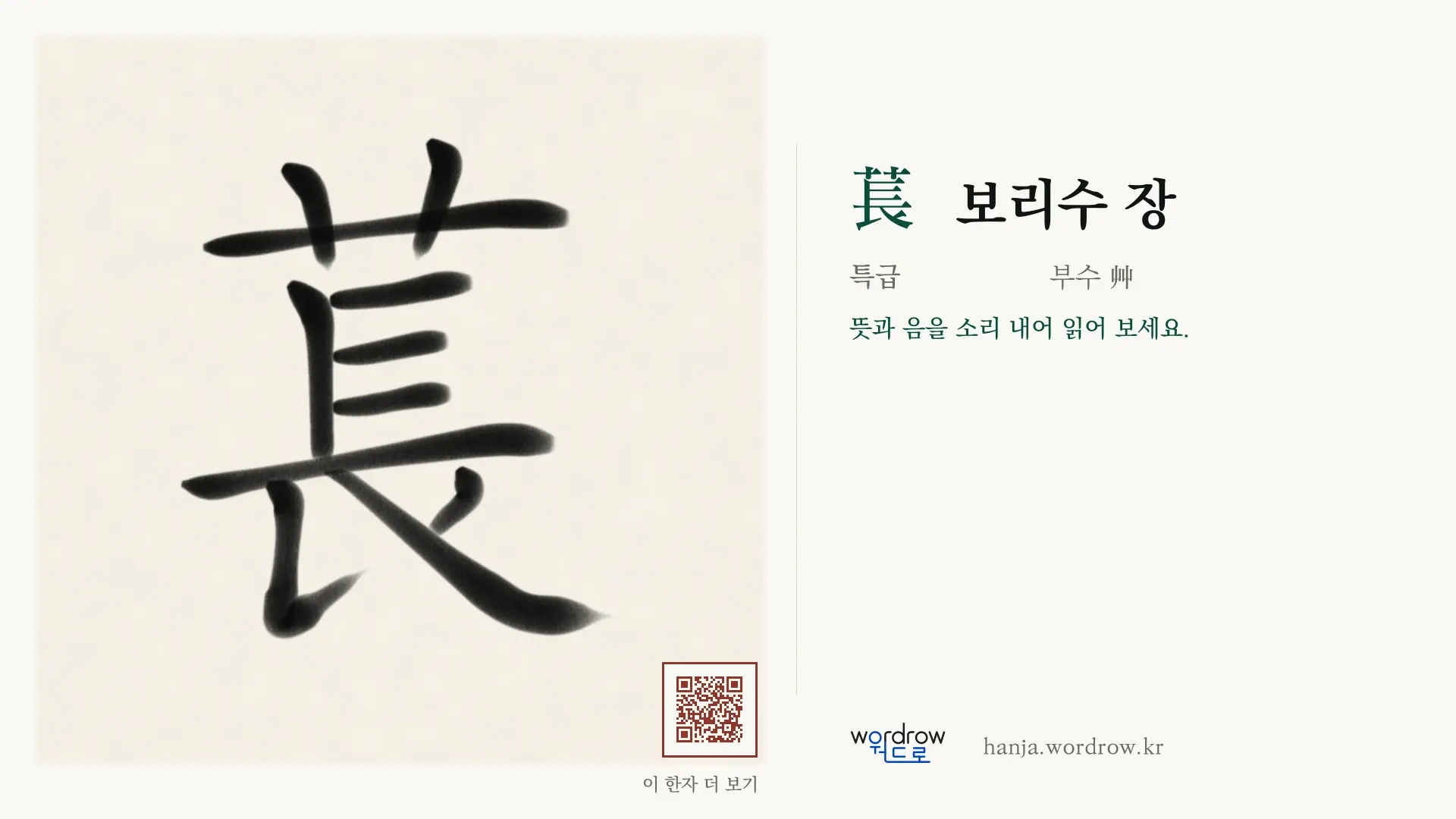 萇 보리수 장 붓글씨 영상 미리보기