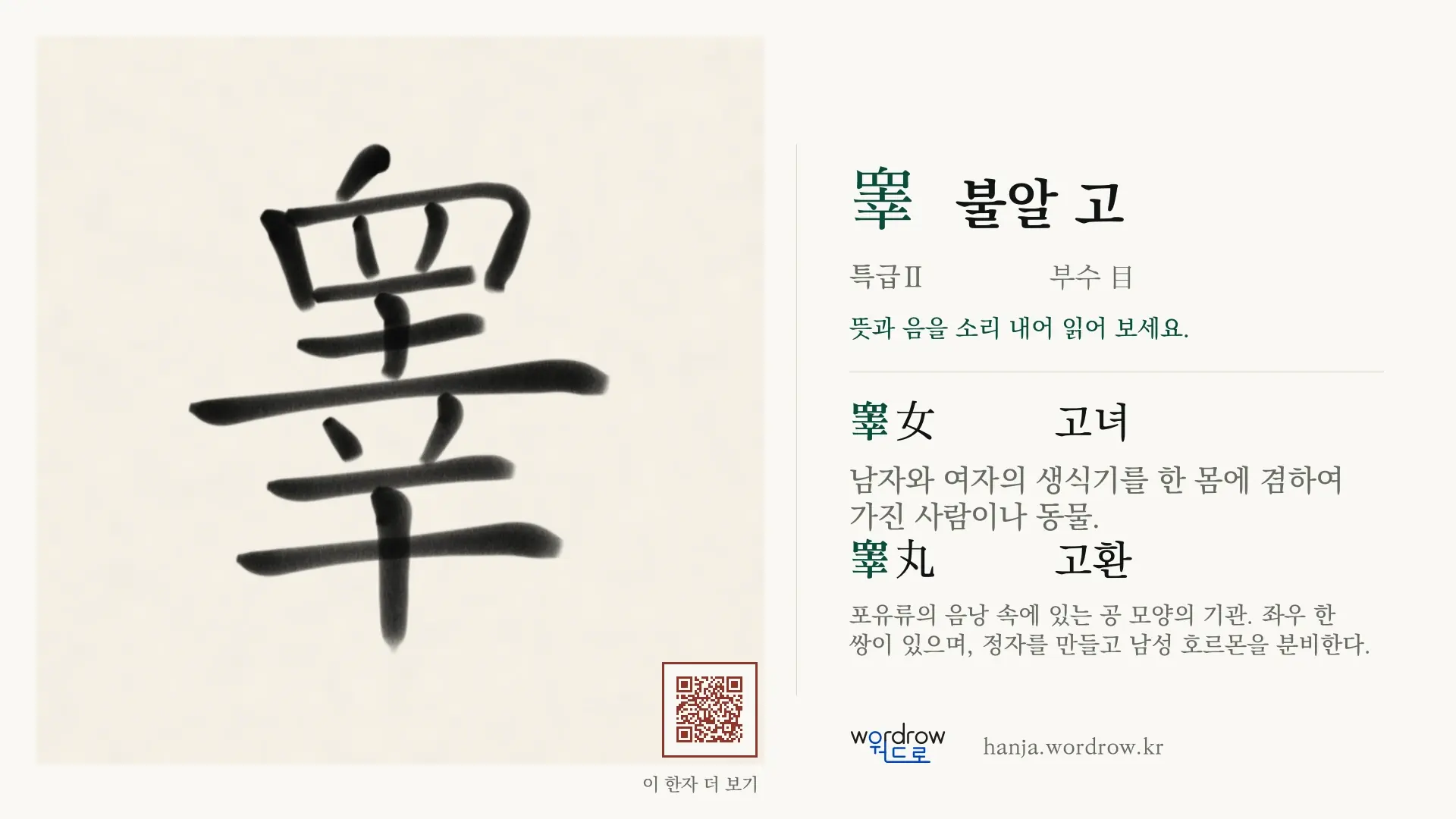 睾 불알 고 붓글씨 영상 미리보기