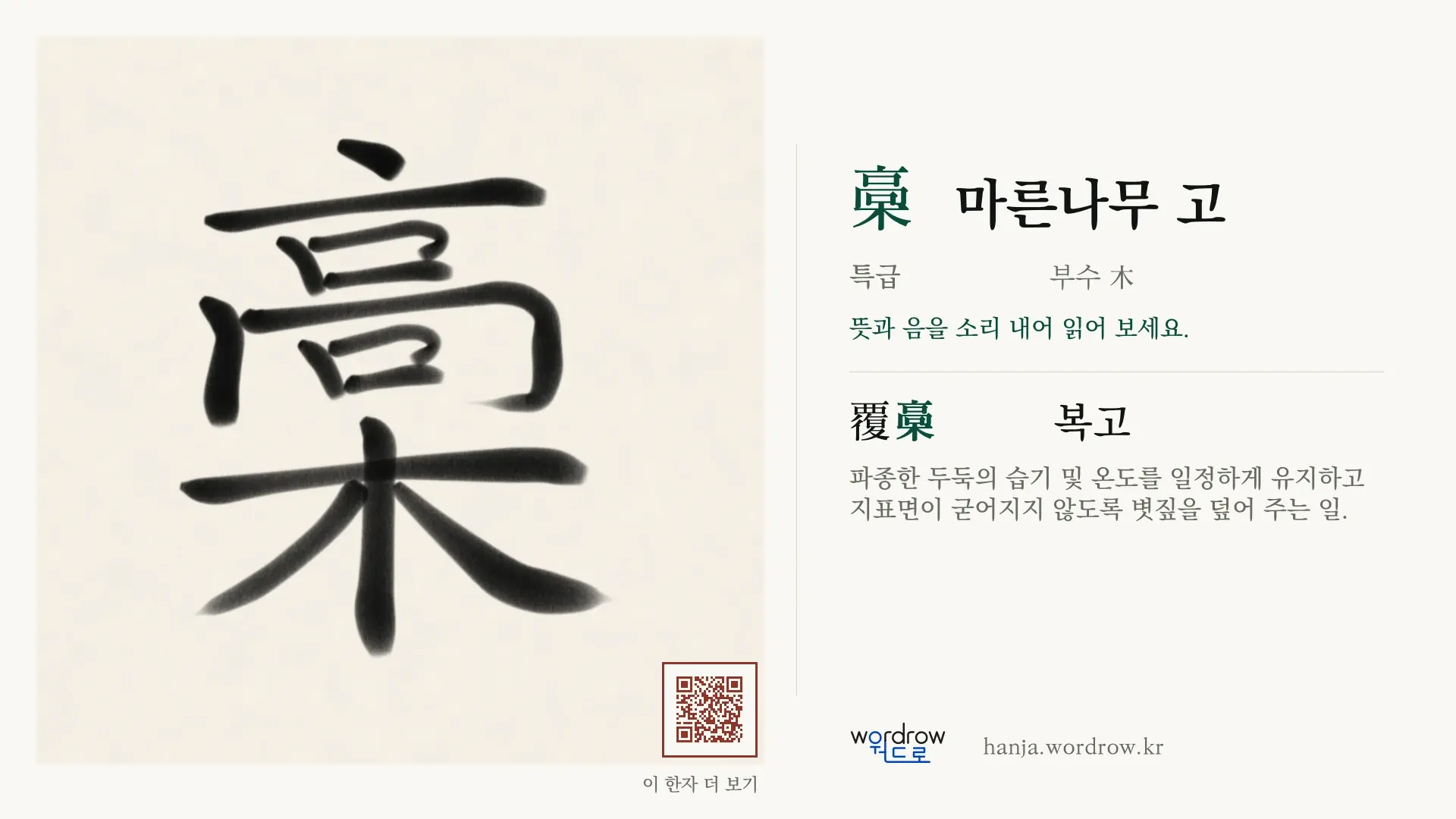 槀 마른나무 고 붓글씨 영상 미리보기