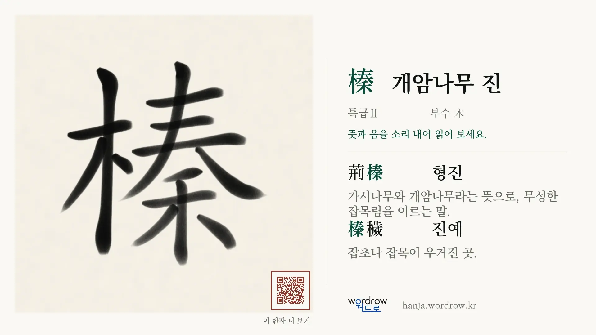 榛 개암나무 진 붓글씨 영상 미리보기