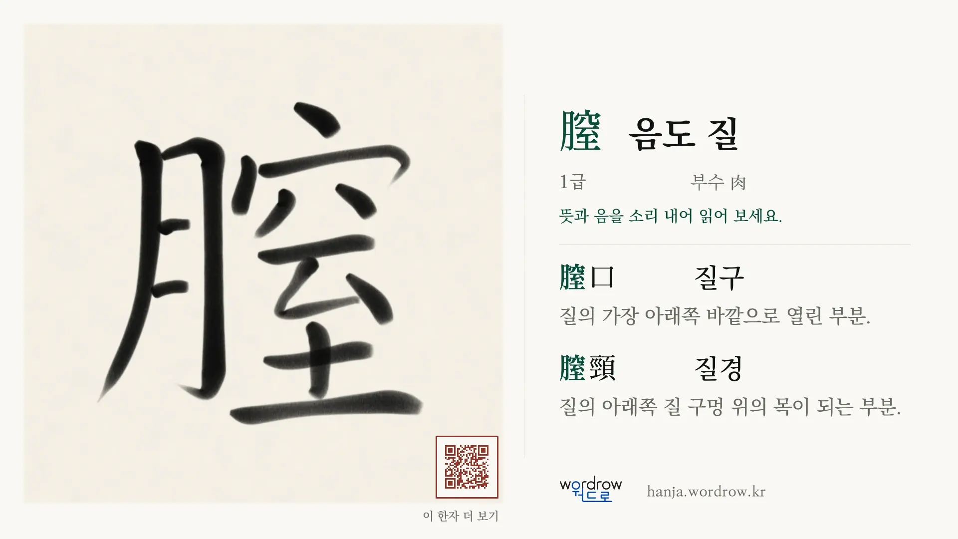 膣 음도 질 붓글씨 영상 미리보기