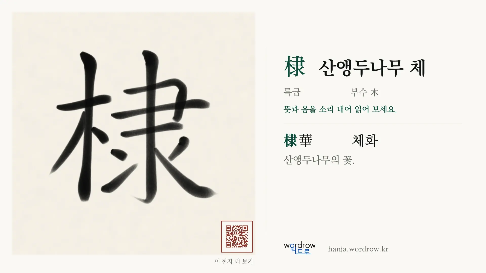 棣 산앵두나무 체 붓글씨 영상 미리보기