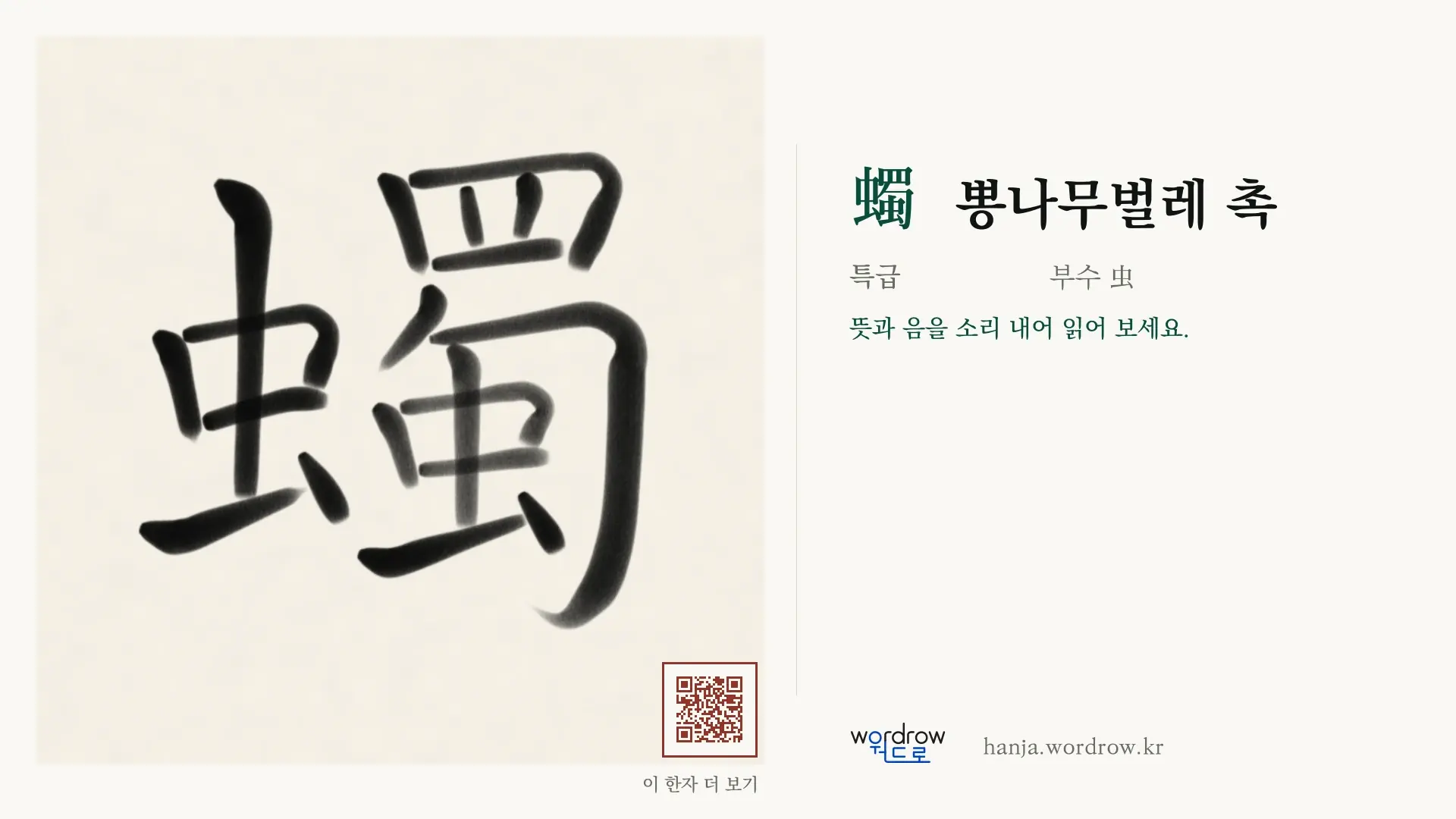 蠋 뽕나무벌레 촉 붓글씨 영상 미리보기