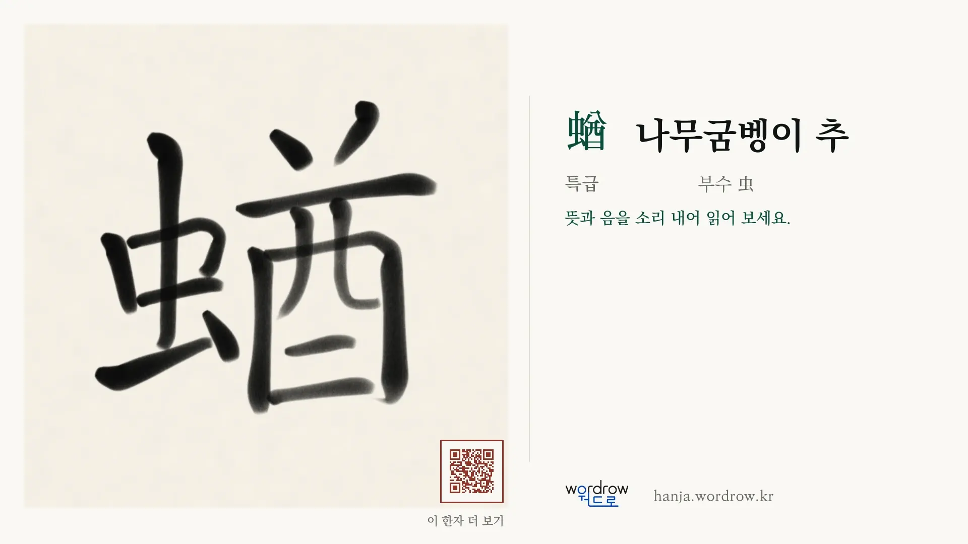 蝤 나무굼벵이 추 붓글씨 영상 미리보기
