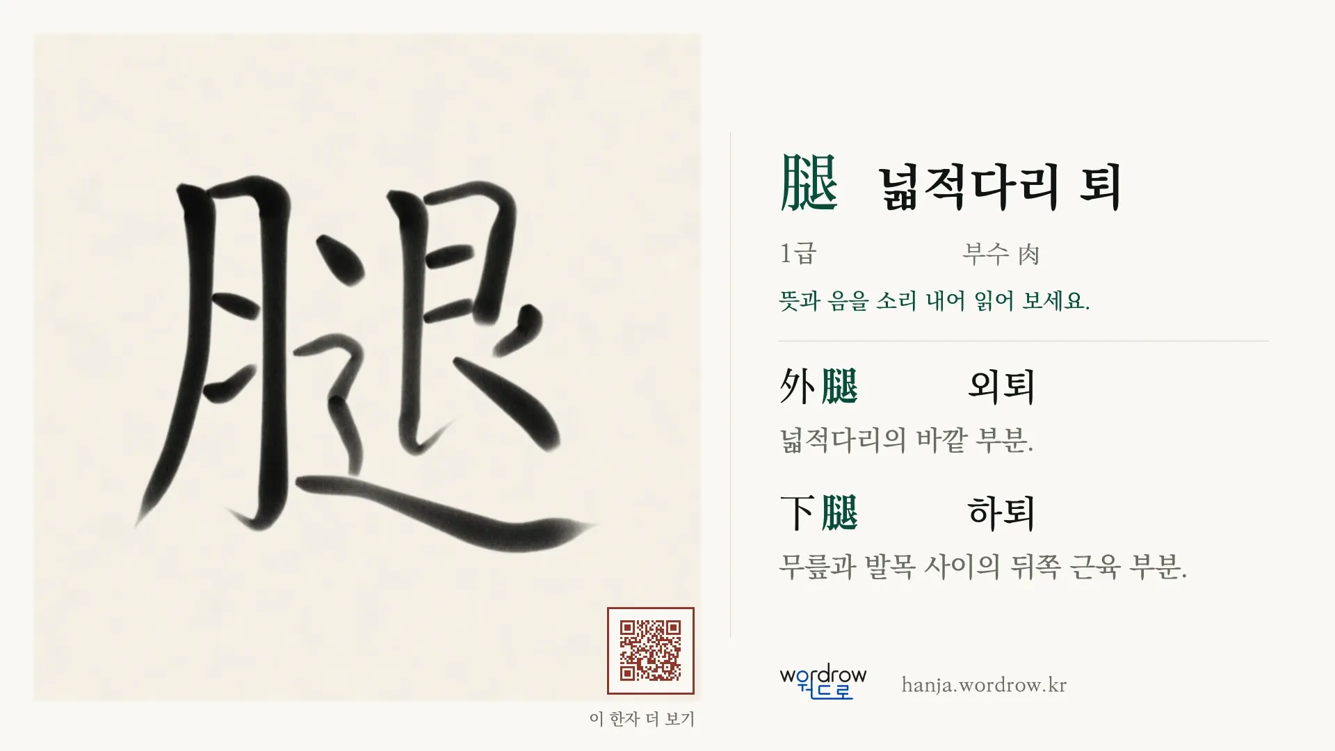 腿 넓적다리 퇴 붓글씨 영상 미리보기