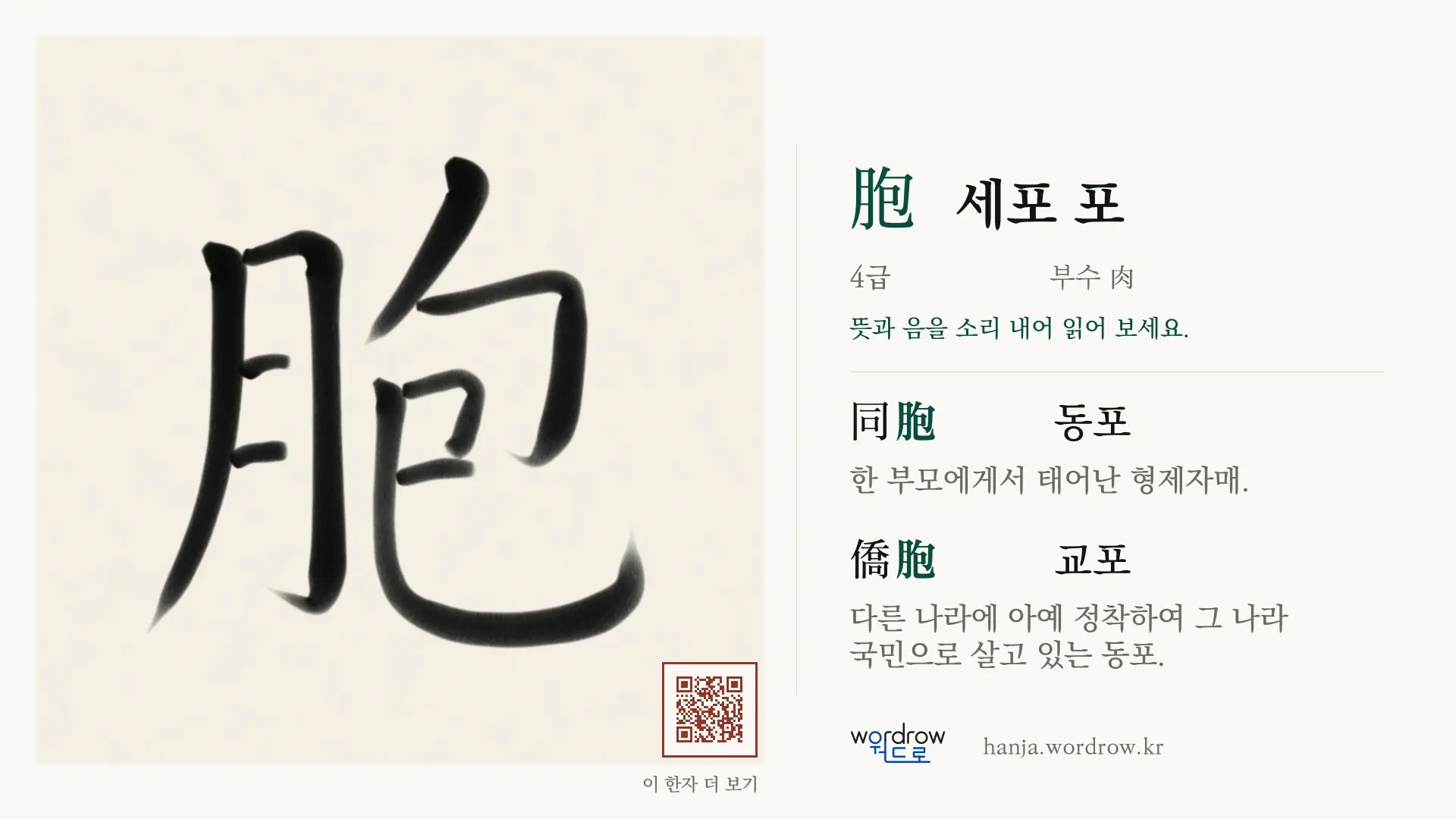 胞 세포 포 붓글씨 영상 미리보기