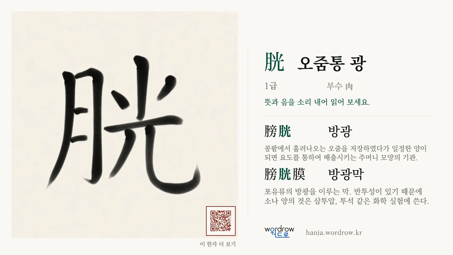 胱 오줌통 광 붓글씨 영상 미리보기