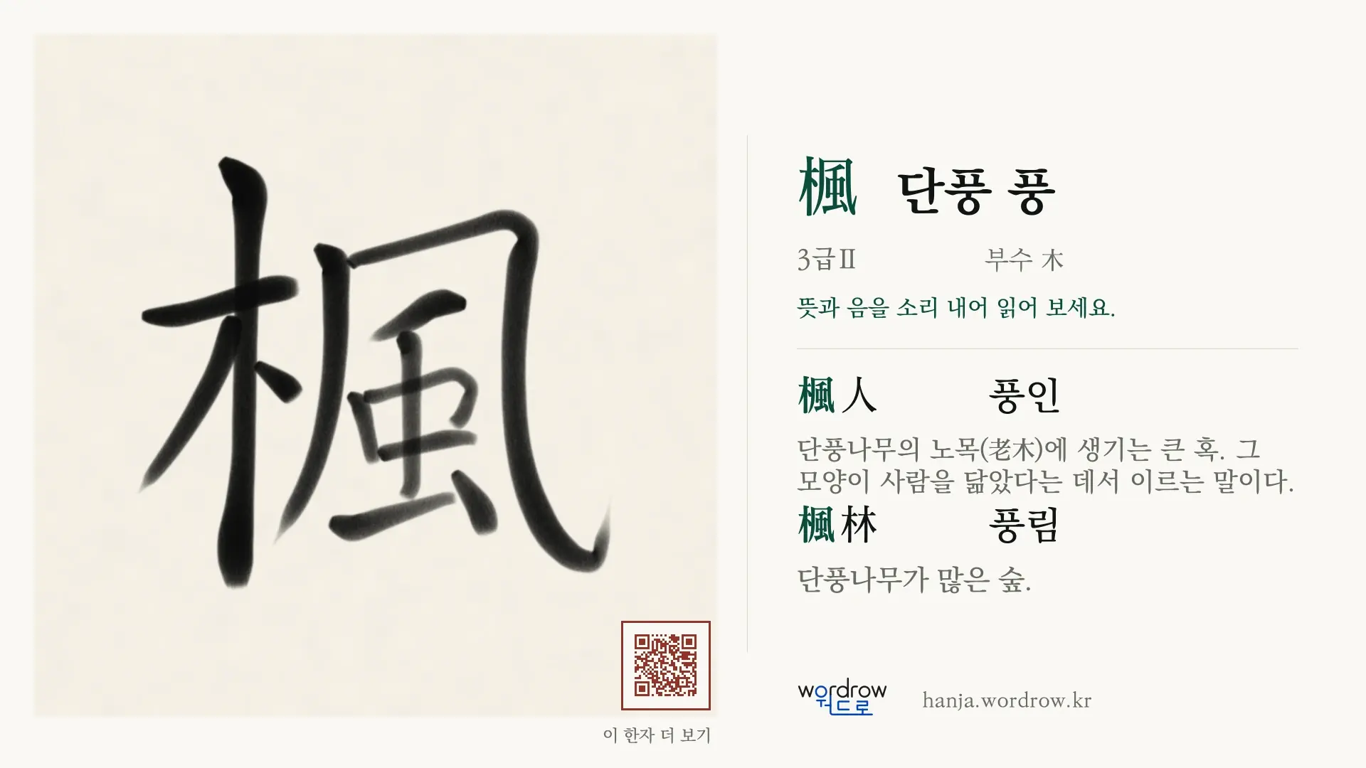 楓 단풍 풍 붓글씨 영상 미리보기