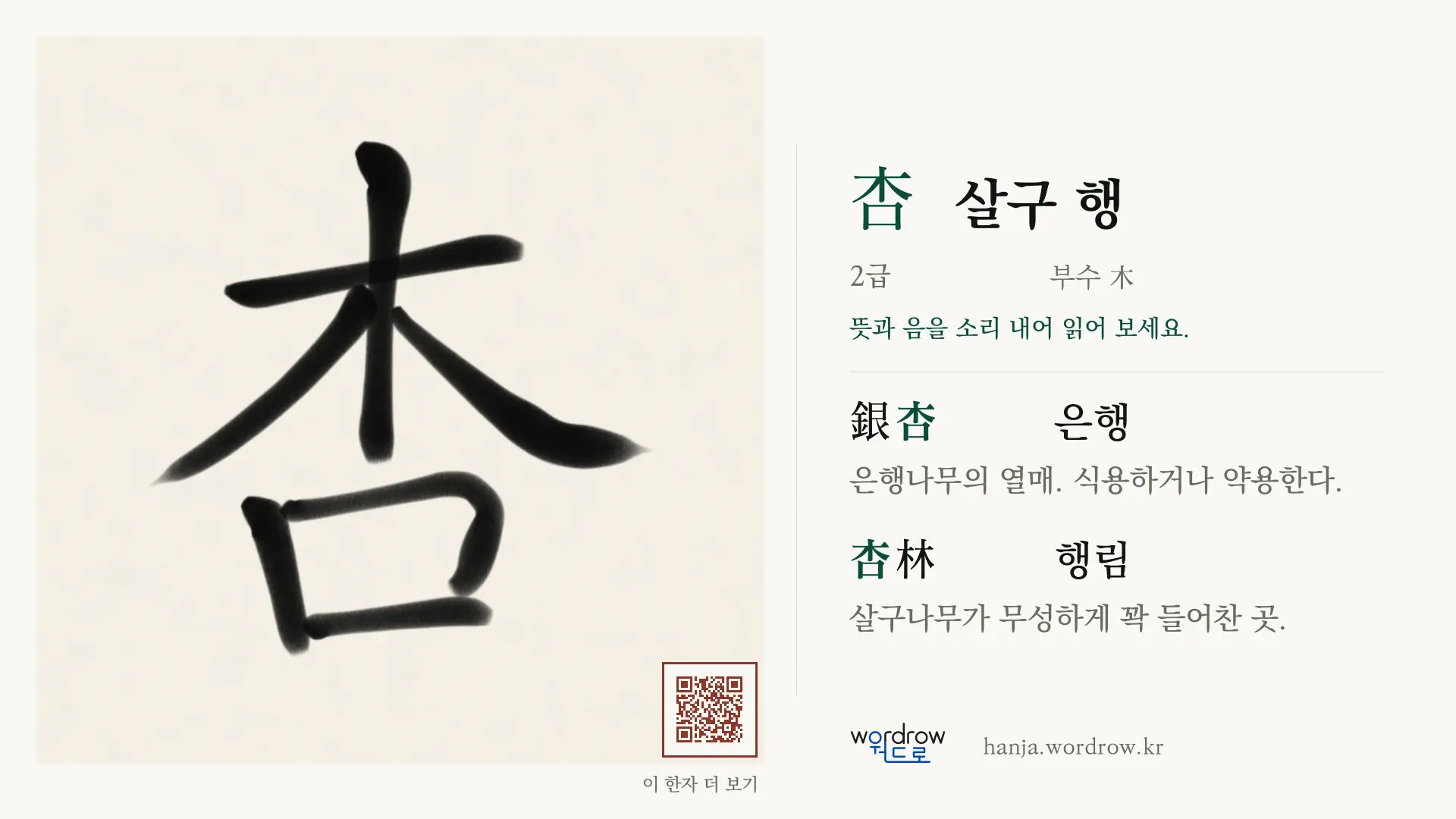 杏 살구 행 붓글씨 영상 미리보기