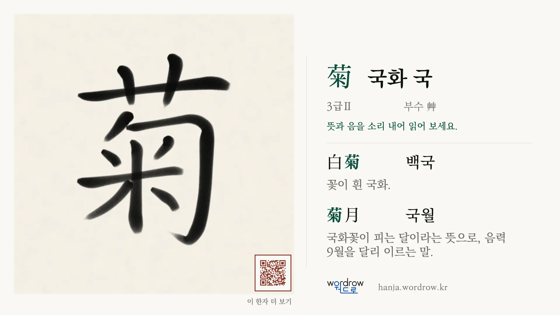 菊 국화 국 붓글씨 영상 미리보기