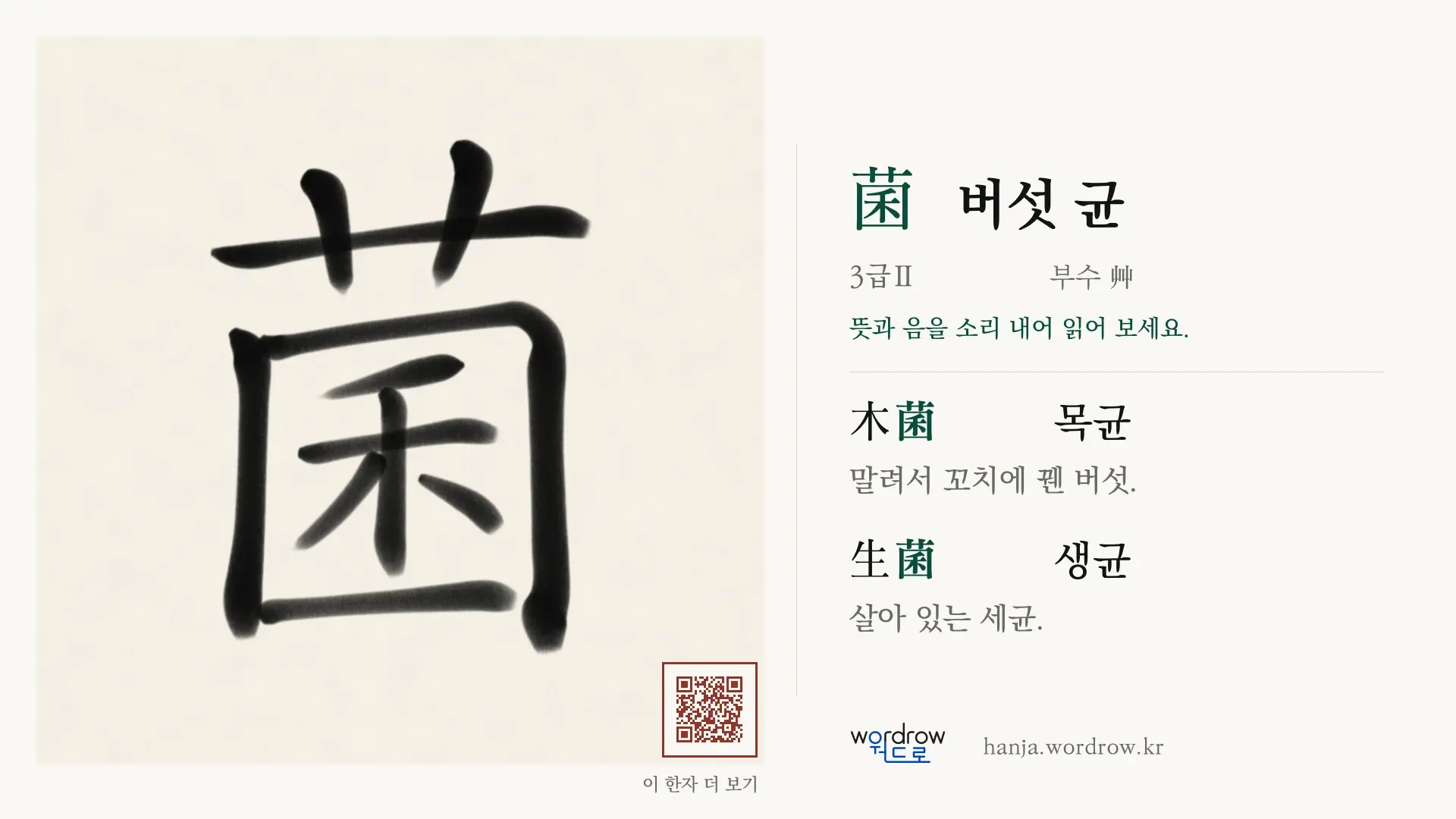 菌 버섯 균 붓글씨 영상 미리보기