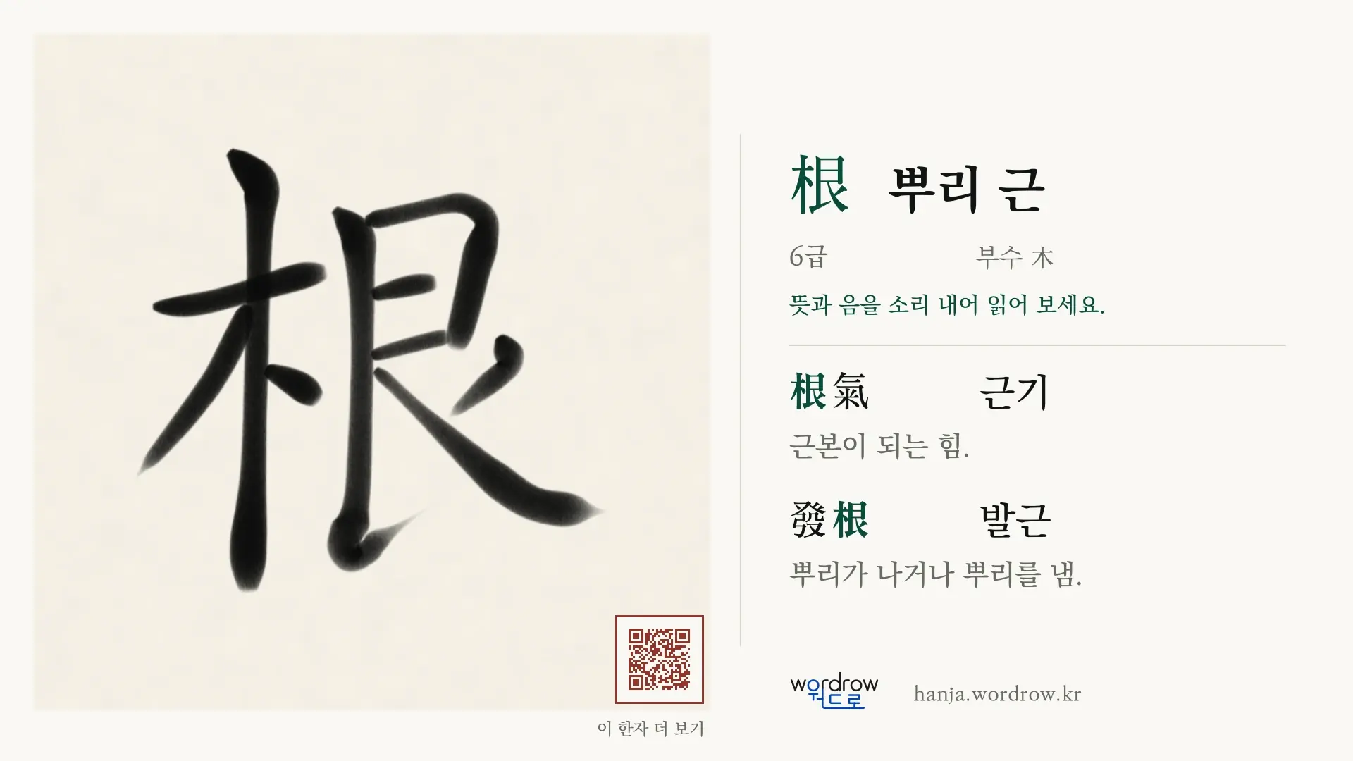 根 뿌리 근 붓글씨 영상 미리보기