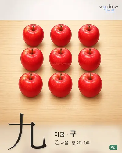 九 (아홉 구) - 8급 썸네일