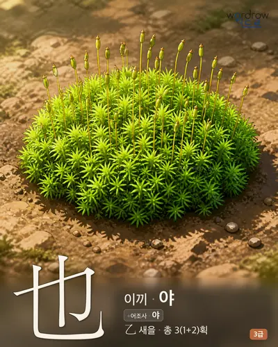 也 이끼