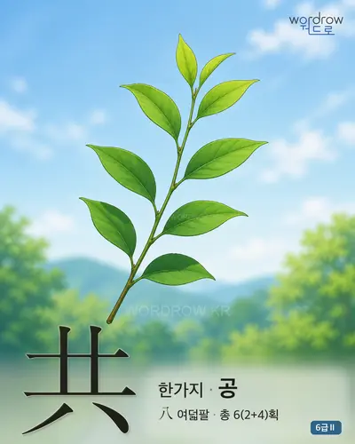 共 (한가지 공) - 6급Ⅱ 썸네일
