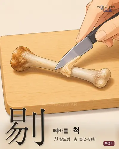 剔 (뼈바를 척) - 특급Ⅱ 한자 일러스트 카드