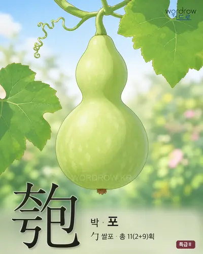 匏 (박 포) - 특급Ⅱ 한자 일러스트 카드