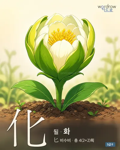 化