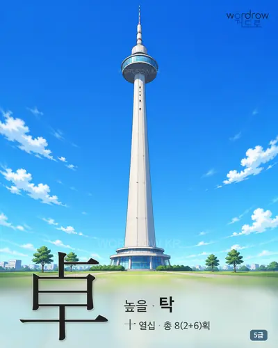 卓 높을