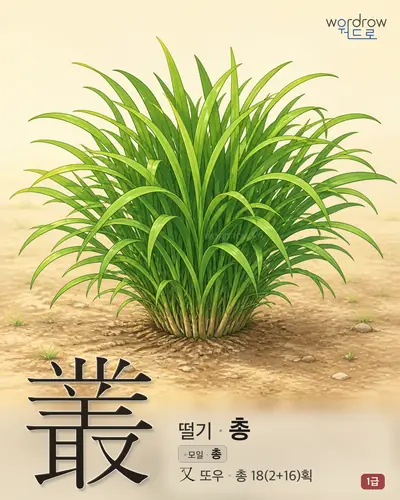 叢 (떨기 총) - 1급 한자 일러스트 카드
