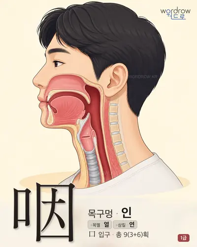 咽 (목구멍 인) - 1급 한자 일러스트 카드