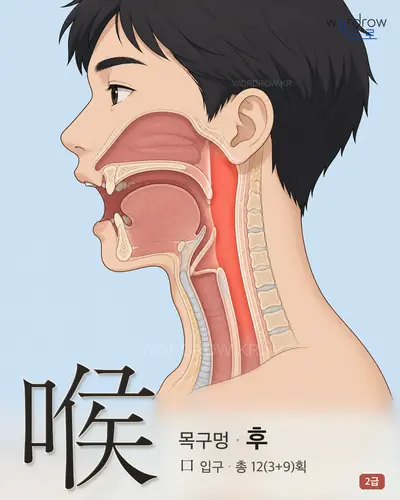 喉 (목구멍 후) - 2급 한자 일러스트 카드